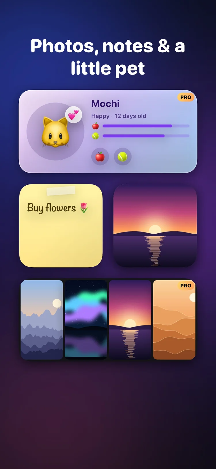 A virtual pet, sticky note, photo and photo collage widgets