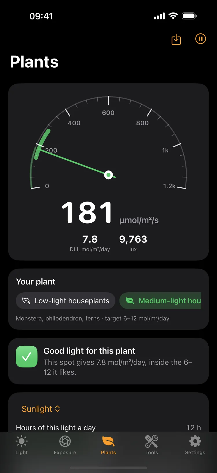 Plant light of 181 µmol/m²/s and a DLI of 7.8 mol/m²/day from 9,763 lux of sunlight: good light for medium-light houseplants such as monstera, which want 6–12 mol/m²/day