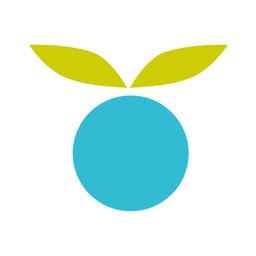 Huckleberry icon